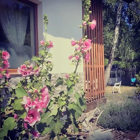 Kapitanska 88 Chłopy