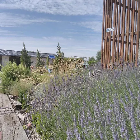 Kapitanska 88 Chłopy