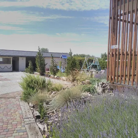 Kapitanska 88 Chłopy