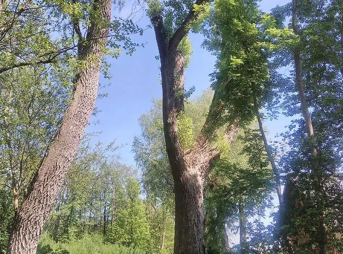 Lantgård Kapitanska 88 - 3 Min Pieszo Do Plazy Chłopy